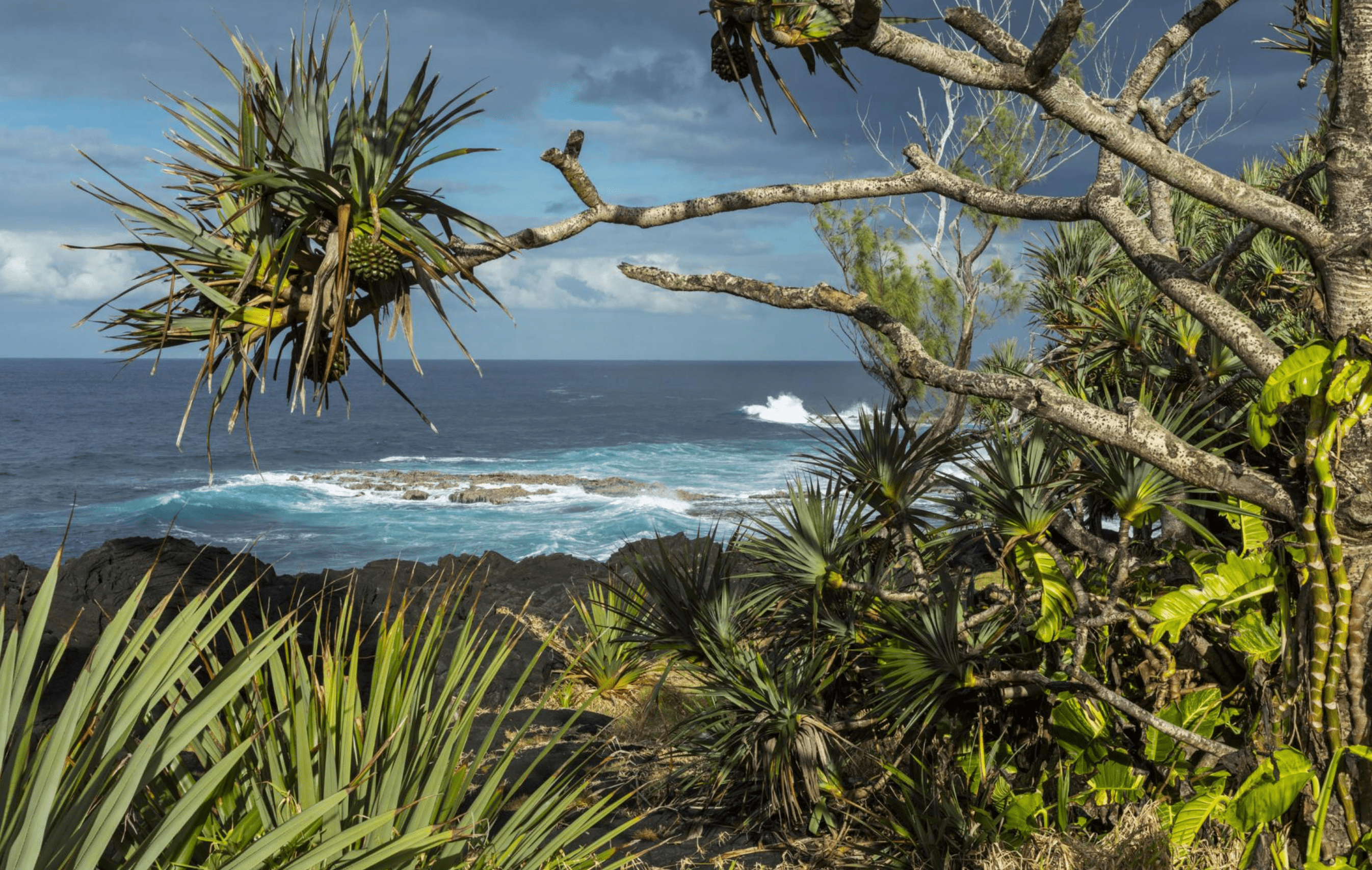 CÔTÉ MER 2