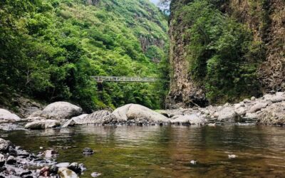 Si vous cherchez où séjourner à La Réunion, Le Battant des Lames est l’option idéale à Saint-Pierre